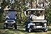 Buggies Unlimited Club Car Precedent Golf Cart Rear Flip Seat Kit with Steel Frame | Compatible with 2004-Up Models (Buff)