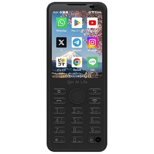 新しいQin F21 Pro 3+32 GBスマート タッチ スクリーン電話 WiFi Google ストア Android 携帯電話 (アイアングレー(黒))