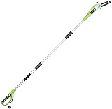 Greenworks 20192 8.5-Inch 6.5 Amp Electric Corded pole saw, Green
