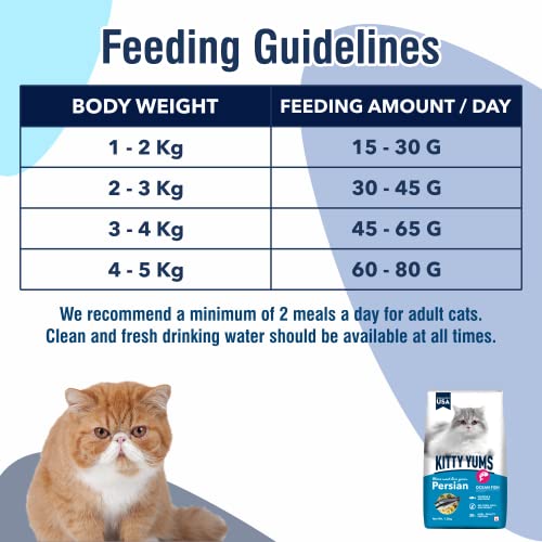 Image of Kitty Yums Adult Persian Dry Cat Food 1.2kg Pack | Ocean Fish Flavour | Develop Strong Bones | Strong Immune System | Strong Vision Development Support Digestive Health
