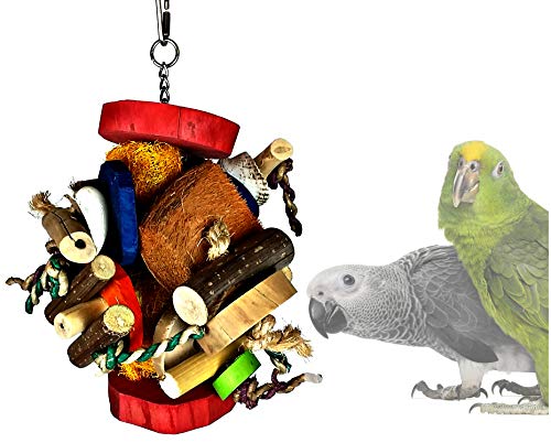 Fun Spongy Bird Toy (Large) by Avianweb