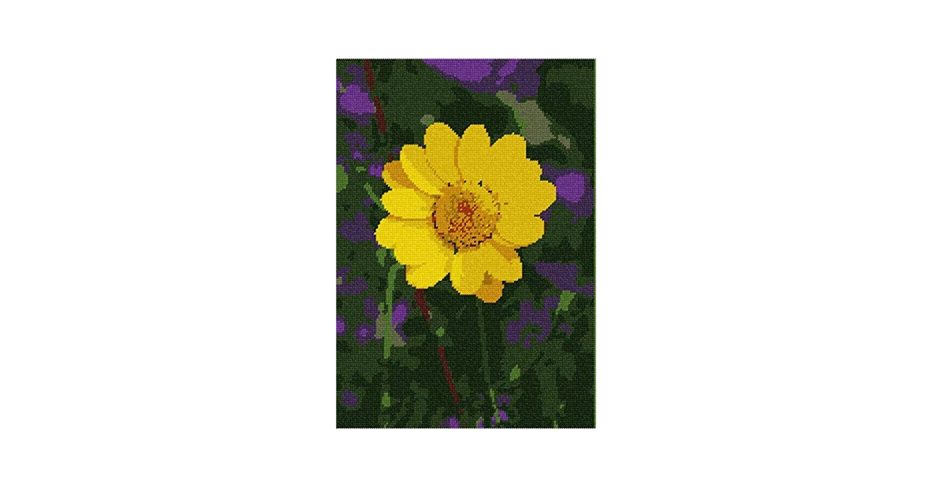 Amazon｜(Large (Canvas Only)) - Boston Daisy Needlepoint