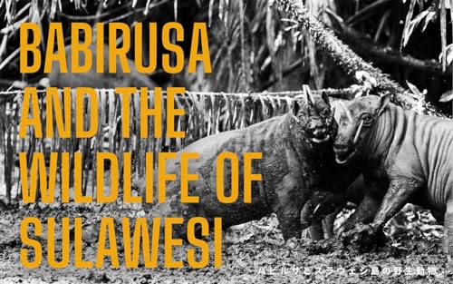 BABIRUSA AND THE WILDLIFE OF SULAWESI: バビルサとスラウェシ島の野生動物