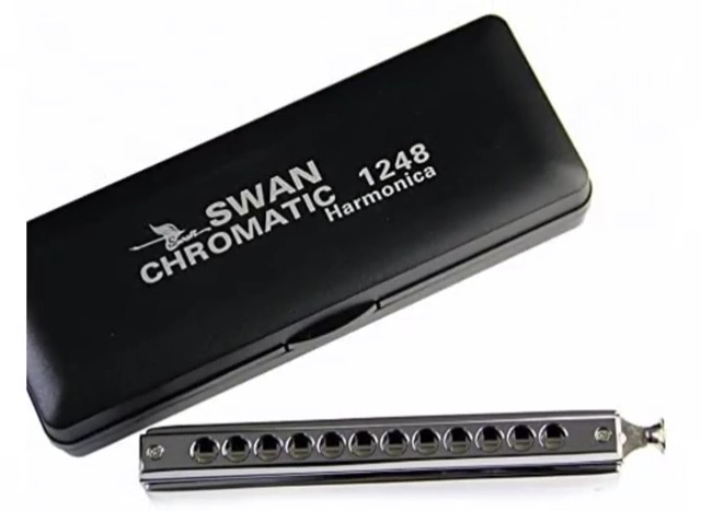 Amazon.com: Swan 12 Holes 48 Tones Chromatic Harmonica in with