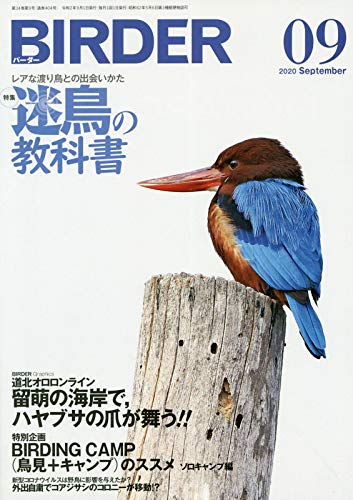 オライリー 無料電子書籍 BIRDER(バーダー)2020年9月号 迷鳥の教科書 バイ