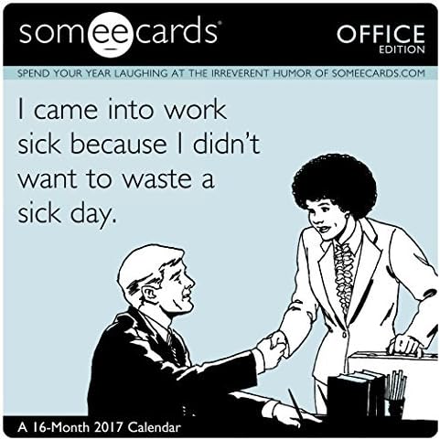 Someecards - Office Mini Wall Calendar (2017) by Day Dream (2016-07-01)