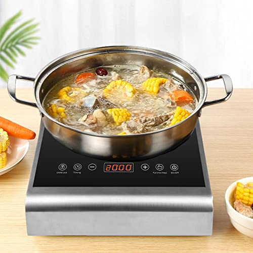 2000-W-220V-Commercial-Induction-Cooker-Electric-Countertop-Burner-Hot-Plate-for-Cooking-With-Multi-Stage-Continuous-Heating-for-Home-School-Restaurant-Abangdun1020M