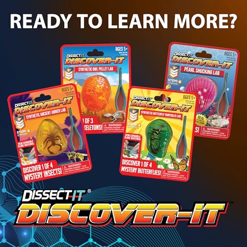 Image of Discover-It Owl Pellet, Science Lab Kit, STEM Toys for Kids, Ages 5+ | Synthetic Bones: Open a realistic owl pellet to discover hidden bones while learning about owls, food chains, and STEM