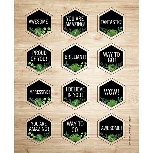 Schoolgirl Style Simply Boho Celebrations Stickers—6 Sheets of Motivational Hexagon Shape Stickers for Homework, Tests, Report Cards, Social Skills, Rewards (72 pc)