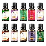 Kit 10 Essências Para Aromatizador Elétrico 10ml Via Aroma