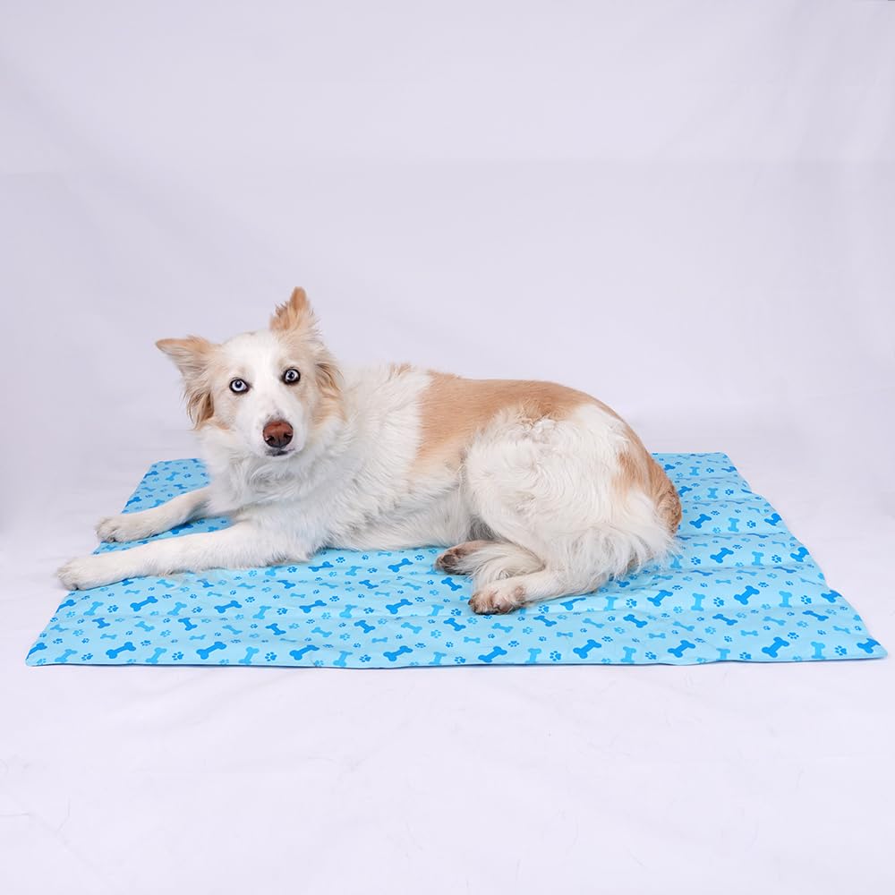 Tappetino rinfrescante per cani, tappetino di raffreddamento per animali di compagnia, tappetino rinfrescante per animali (blu) 50 x 65 cm)