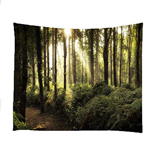 Tapisserie polyester imperméable pour habiller et protéger un grand mur