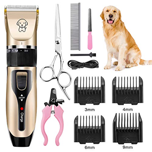 pangu dog clippers