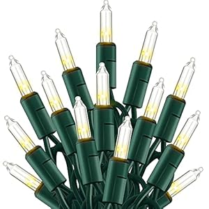 TW SHINE Christmas Lights, 20FT 100 Count Incandescent Mini Christmas Tree Lights, Waterproof Xmas String Lights for…