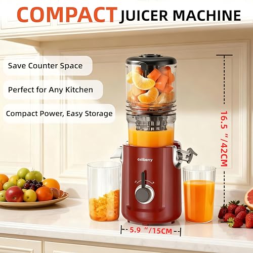 Image of Cold Press Juicer Machines, 5.3 inch Large Feed Chute Slow Juicer | 60s Easy To Clean Masticating Juicer for Whole Fruits & Vegetables, 300 W Quiet Juice Extractor, 99% High Juice Yield