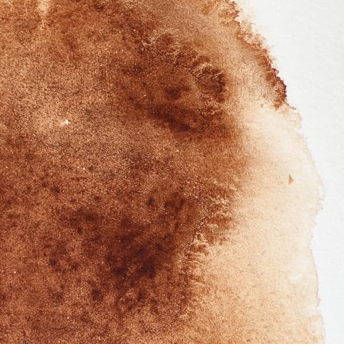 Image of Winsor & Newton Professional Water Colour 5 ML - Burnt Umber (076) - Finely Pigmented, Vibrant, Vivid & Intermixable Artists' Water Colour Paints - More Colours Available