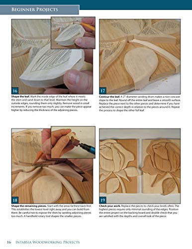 Intarsia Woodworking Projects: 21 Original Designs with Full-Size Plans and Expert Instruction for All Skill Levels (Fox Chapel Publishing) Learn How to Create Wood Inlay with Depth on Your Scroll Saw - Image 5