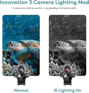 Fourq Underwater Fishing Camera, Fishing Camera with Infrared Night Vision Light, Portable Fish Finder with 100ft Cable, 5 Inch LCD and Upgraded HD Lens for Ice Lake Boat Kayak Fishing