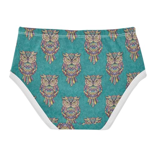Joisal Colorful Owls Green Girls Underwear Toddlers 2t Cotton Little Girl Panties Animals Briefs Underpants2