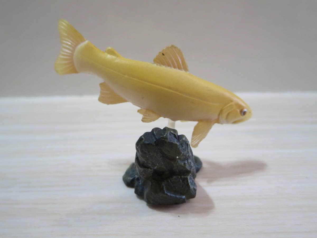 Amazon | 原色淡水魚図鑑【イワナ（アルビノ）】フィギュア