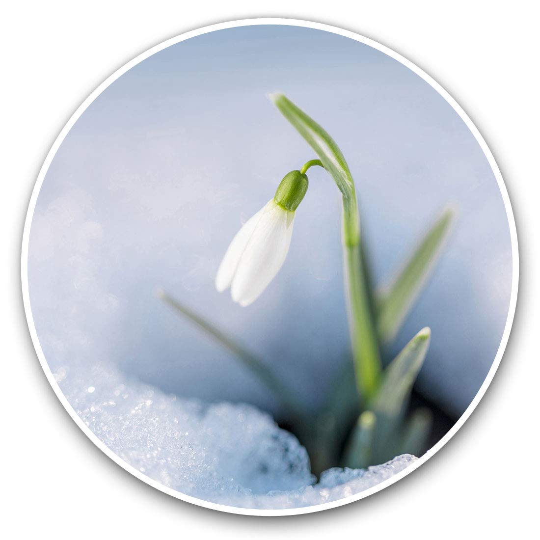 Destination Vinyl Ltd Pretty Snowdrop Flower 2063 Vinyl Stickers (Set Of 2) 7.5Cm - Pretty Snowdrop Flower #2063