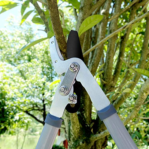Altdorff Combo Pruning Shears Gardening Tools,3Pcs Garden Shears Set Include Loppers, Hedge Shear, Bypass Pruner, Professional Tree & Shrub Care Kit #TOP2