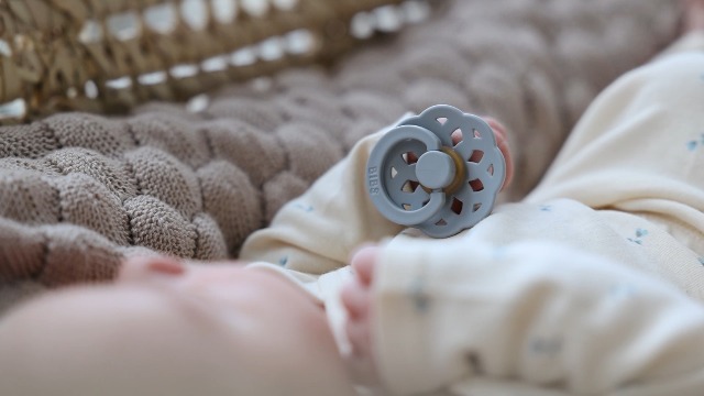 Rebaël Ciuccio In Gomma Naturale/Lattice, Senza BPA - Tornado Pearly Dolphin, Taglia 2 (6+ Mesi)