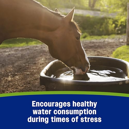 Farnam Apple Elite Electrolyte Paste Supplement for Horses, 60 cc Syringe | Apple Flavored,Replaces Vital Minerals, Encourages Hydration, Sugar-Free, Contains Sodium, Potassium, Calcium & Magnesium - Image 7