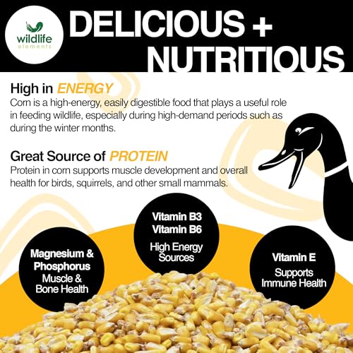 Wildlife Elements Critter Corn, Natural Whole Shelled Corn for Wildlife, 44lb Bag – High-Energy Feed for Deer, Squirrels, Turkeys, Ducks, Raccoons, and More – USA Sourced - Thumbnail 4