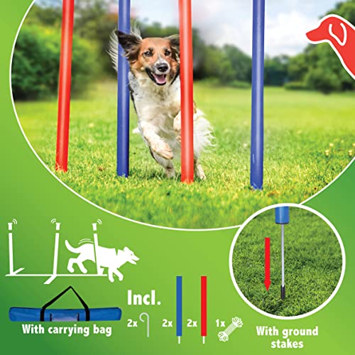 maxxpro Agility Slalom Set - Set Agility für Hunde - 60 x 3 cm - Kunststoff - Blau/Rot