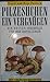 Pilzesuchen ein Vergnügen. Die besten Speisepilze und hre Doppelgänger. Wissenschaftliche Betreuung: Mag. Dr. Uwe Passauer. Mit vielen Kochrezepten. die Besten günstig Kaufen-Pilzesuchen ein Vergnügen. Die besten Speisepilze und hre Doppelgänger. Wissenschaftliche Betreuung: Mag. Dr. Uwe Passauer. Mit vielen Kochrezepten.