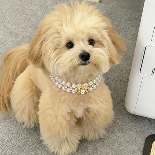 Image of HOWWFALY Dog Cat Pearl Collars with Spider Crystal Rhinestone PU Leather Collars Necklace Adjustable Collar Dog Chain Cat White Pearl Pet Collar for Small Medium Pets