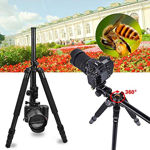 Abithid ABITHID-SX010 Horizontal Tripod,62''Camera Tripod & Monopod For Dslr, Professional Tripod With Horizontal Arm, 360°Rotatable Metal Ball Head,Aluminum Alloy Tripod For Camera Canon Nikon Sony Olympus Fuji Projector thumb #3
