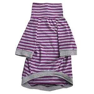   Tooth-Honey-big-dogstripe-shirtpulloverfull-belly-coveragefor-big-dogspitbull-shirtpurple-and-grey-Large