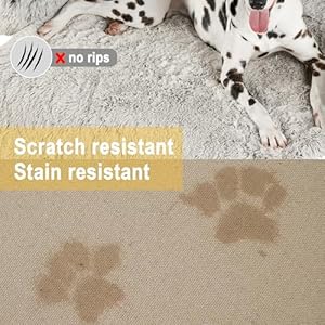   Codi-Dog-bed-for-Couch-Calming-Dog-Beds-for-Large-Dogs-Fluffy-Plush-Bed-for-Pets-Anti-Anxiety-Dog-Bed-with-Removable-Washable-Cover-for-Dogs-and-Cats-Light-Brown-41x37x6-inches