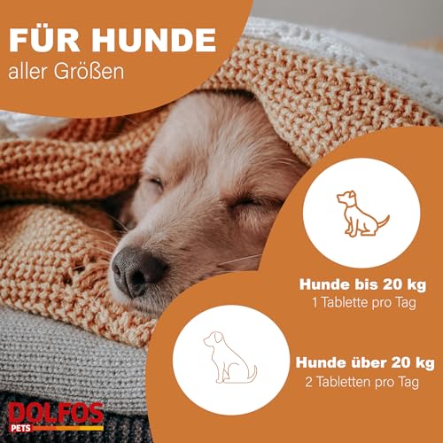 Dolvit Allergy 90 Tabletten, Allergie Tabletten für Hunde gegen Juckreiz & Dermatitis, Natürliches Ergänzungsfutter Hund zur Fellpflege, Hautgesundheit & Unterstützung bei Allergie Hund