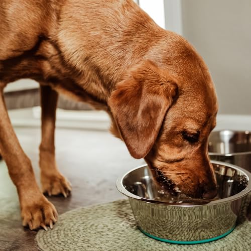 PEGGY11 Hundenapf Edelstahl mit rutschfestem Silikonboden, 2er Set, 1920 ml – Fressnapf & Wassernapf für große Hunde