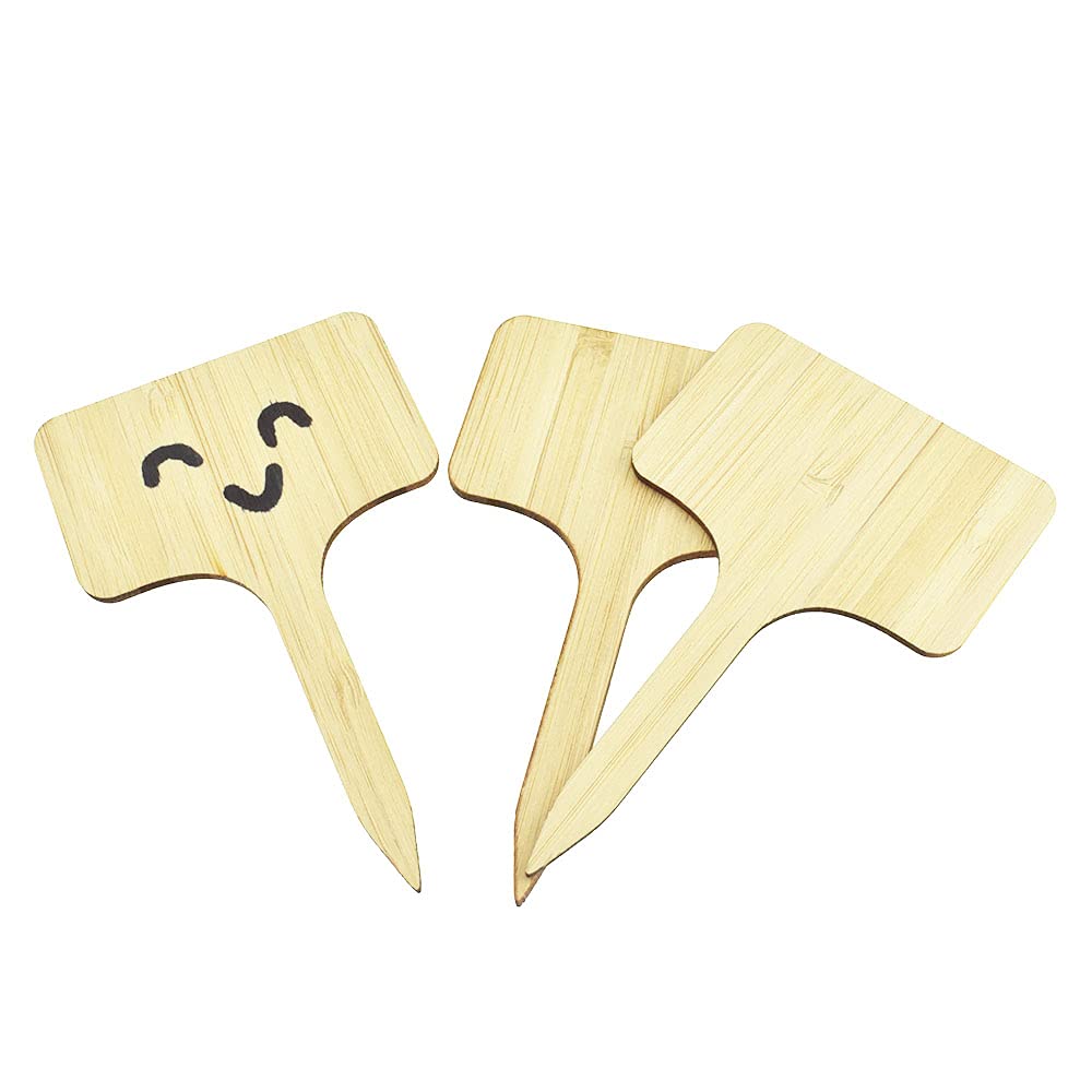 Photo 1 of Binzzo 3.9 Inches Length Bamboo Plant Labels Identify Easily Plant Large Horizontal Surface Clear Designations Weather Resistant T-Type Wooden Sign Tags 20 PCS for Herb Vegetable Garden Greenhouse Rectangle 20Pcs