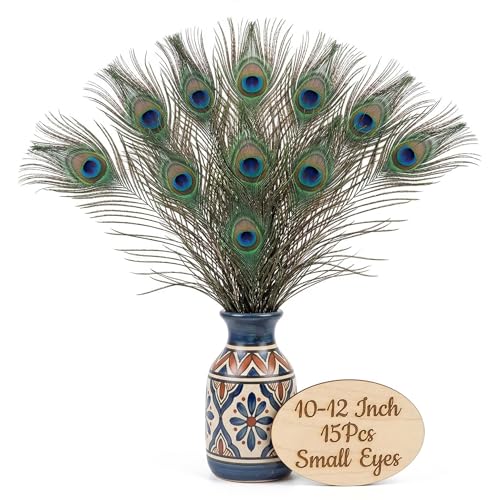 Lamar Peacock Feathers 15 Pcs 10-12 Inch Feathers with Medium Eyes Bulk Bundle for Tall Vases Wedding Centerpieces Home Decor Costumes and DIY Crafts