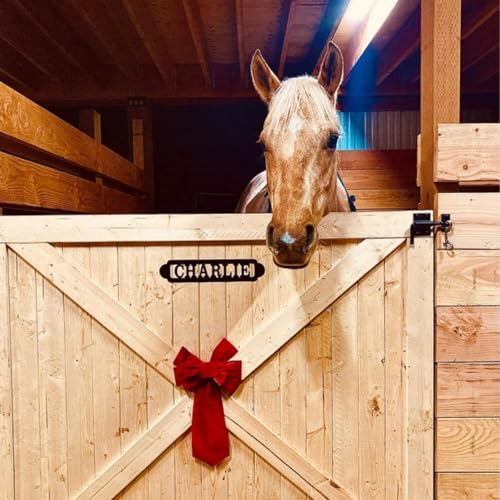 Personalisiertes Metallschild für Pferde, Stall, Namensschild für Pferde, Reiten, Scheunendekoration, Ranch-Dekoration, personalisiertes Scheunenschild, stabiles Türschild, personalisiertes Geschenk