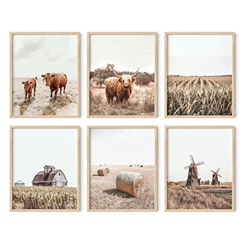 Image of HAUS AND HUES Highland Cow Wall Art – Set of 6 Rustic Farmhouse Decor, Unframed Cow Prints, Country Animal Artwork, Western Farm Pictures (8x10, Unframed