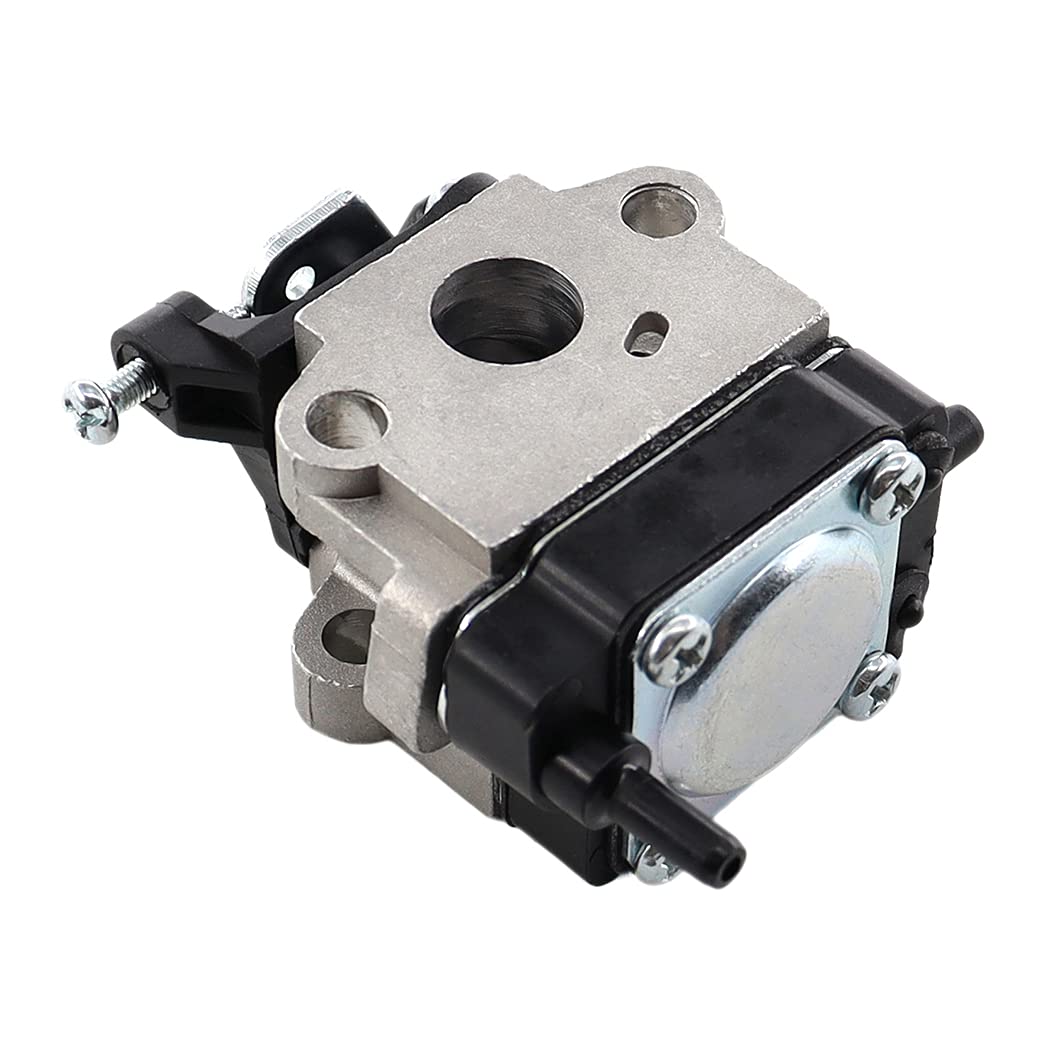 Amazon.com: TOPREPAIR Carburetor Air Filter for Hitachi CG22EA
