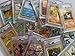 One Random PSA Graded and Authenticated Encased Pokemon Card (Perfect for Display)