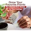 Hormex Rooting Hormone Powder #8 (0.80% IBA) for Semi-Hardwood Plants, Trees & Shrubs High Strength Root Stimulator, Growth Hormone & Root Booster for Woody Cuttings, Cloning, Propagation (2 Pack)