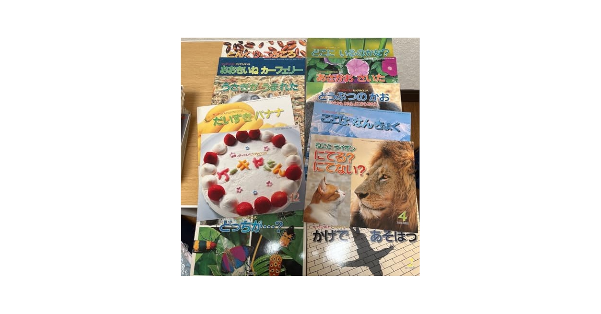 Amazon.co.jp: サンチャイルド ビックサイエンス 12冊 大きく