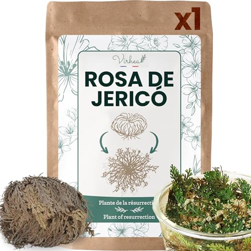VIRHEA® Rosa de Jericho - Planta Natural Auténtica Rosa de Jerico - Flor de Jerico Verdadera para Decoración - Rosa del Desierto Viva - Ideal para Regalos y Feng Shui