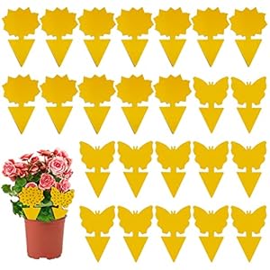 24 Stück Gelbsticker Trauermücken, Gelbtafeln für Gegen Trauermücken, Fliegenfalle Gelbsticker, Fliegenfalle Klebefalle Steckbare Fliegenfänger für die Zimmerpflanzen Schädlingsbekämpfung