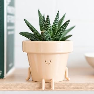 Sitting Indoor Plant Pot, Unique Cute Flower Pot with Face, 3.5 Inch Succulent/Cactus Gift Planter with Drainage Hole, Decorative Plant Pot, Novelty Planter (1x Sitting Pot - Plant Not Included)