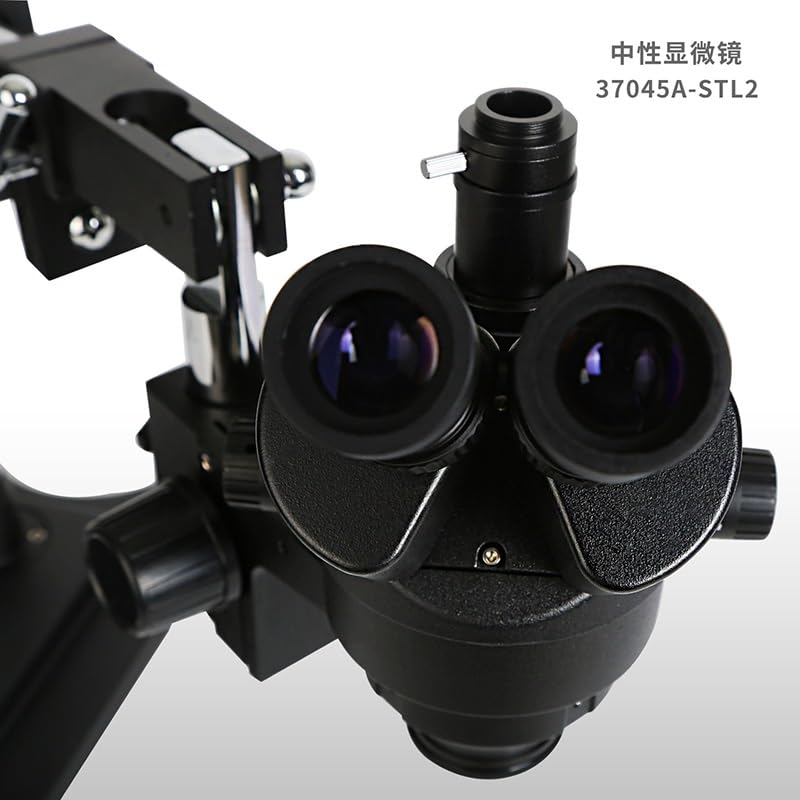 Microscope 1 Pair 10X Widefield Microscope for Binocular Trinocular Microscopio Part