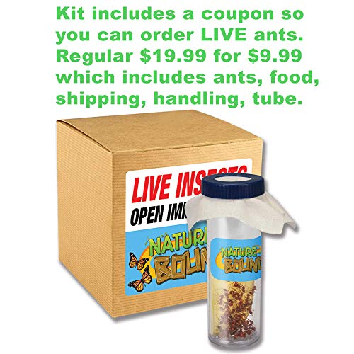 Nature Bound Toys Ant Treehouse Habitat Kit with Sand, Connector Tube, Feeding Stick & Insect Instructions - Image 4